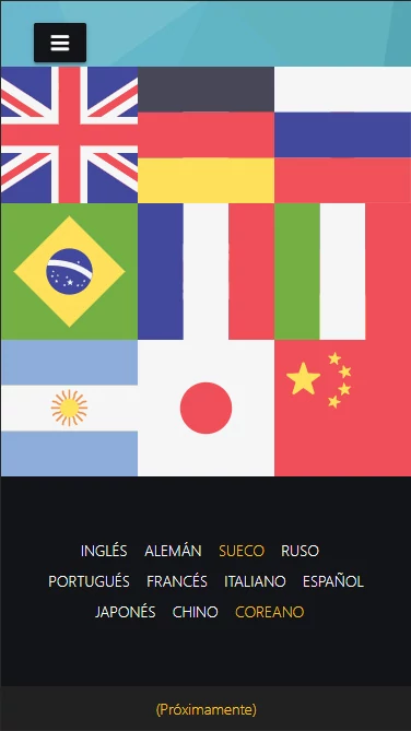 Captura de vista móvil de website responsive empresa vgs-ic