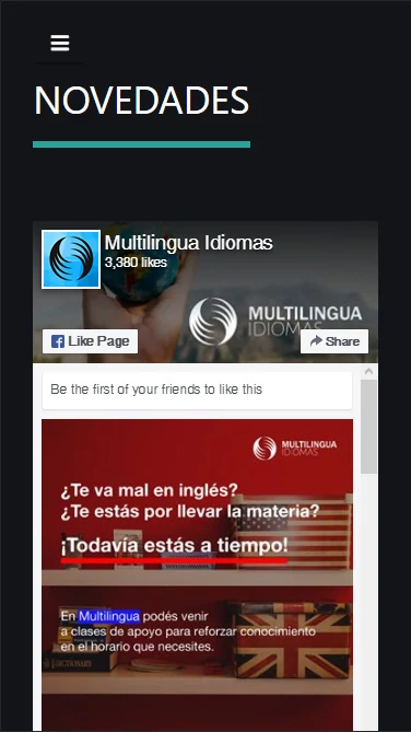 Captura de vista móvil de website responsive empresa vgs-ic